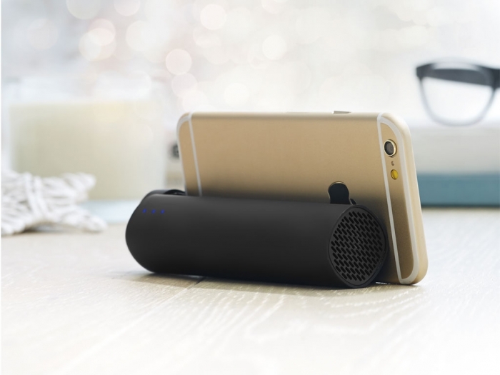 Power bank with speaker