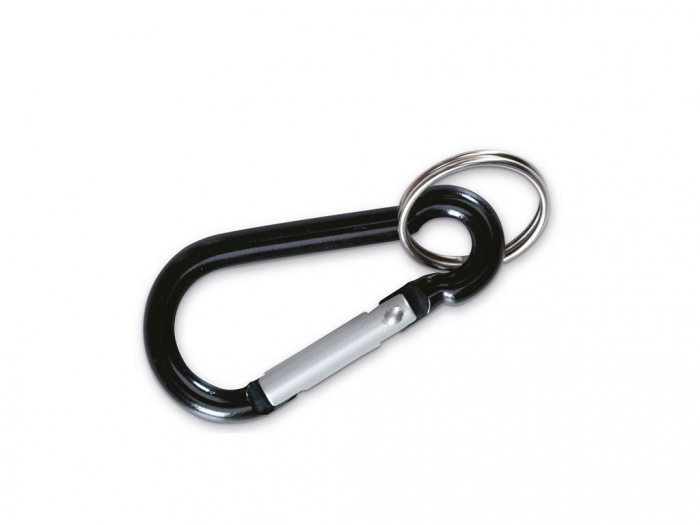Carabiner hook with key ring