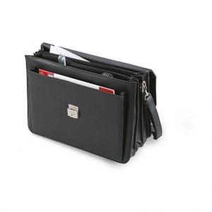 Document and laptop bag